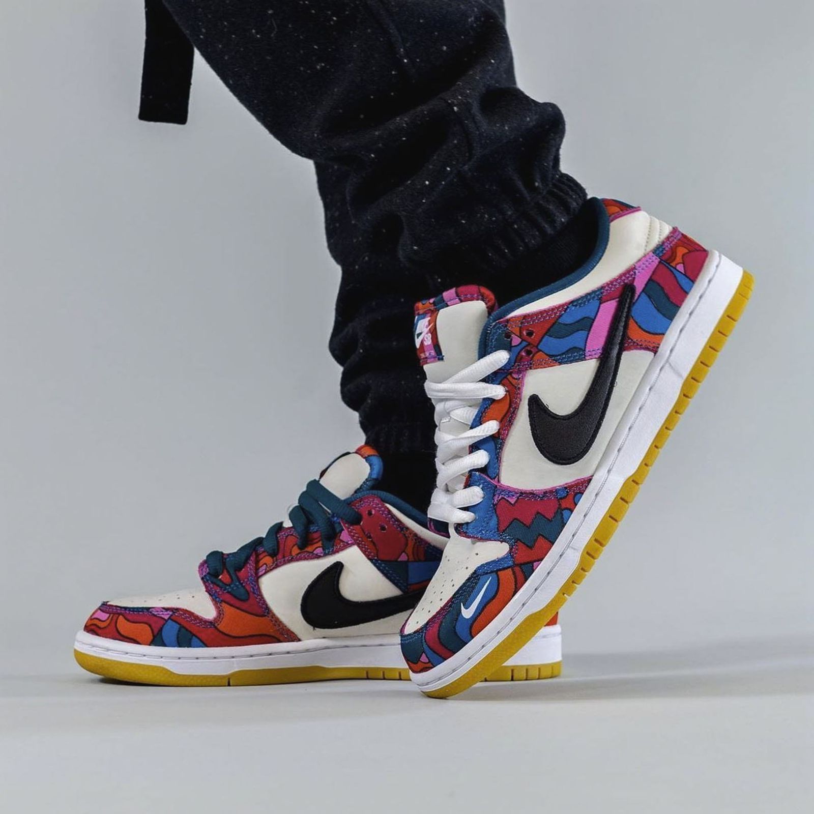 NIKE DUNK PRO PARRA